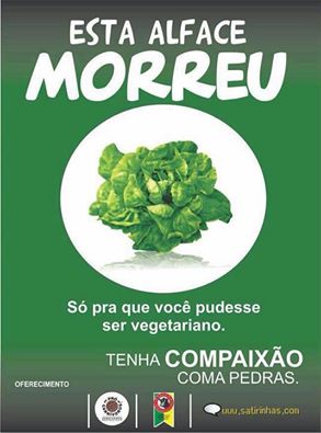 Alface morreu culpa dos vegetarianos