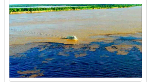 Encontro das águas Amazonas 2