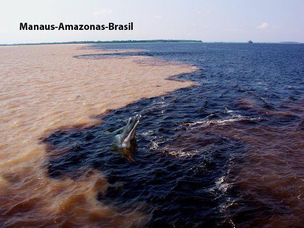 Encontro das águas Amazonas 3