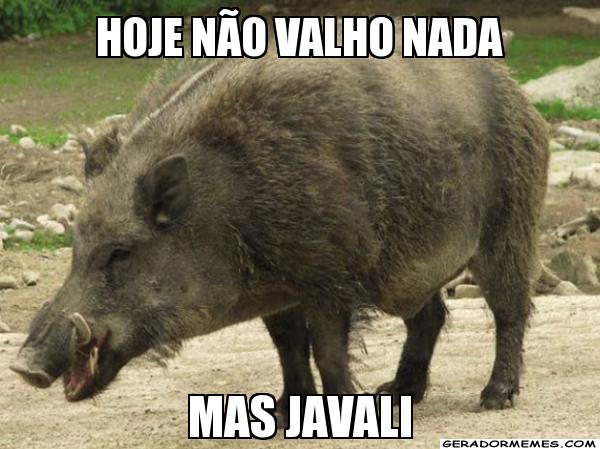 Javali e o trocadilho