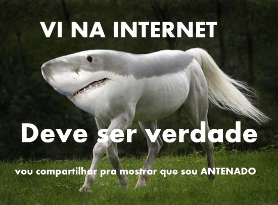 Uma verdade da internet